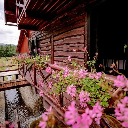 Hanul Morii Holiday home *