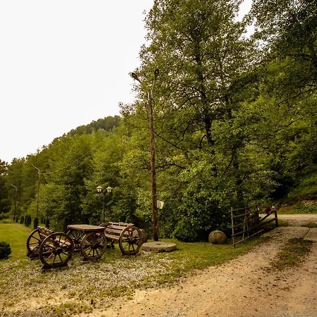 Holiday home Hanul Morii Ciucea